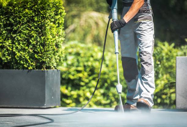 Best Fence Cleaning  in Holland, MI