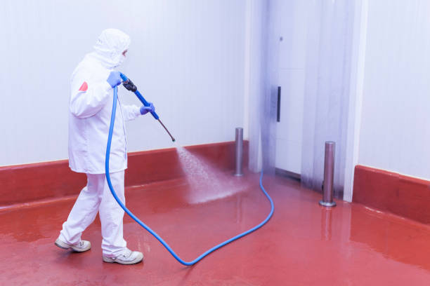 Best House Exterior Washing  in Holland, MI
