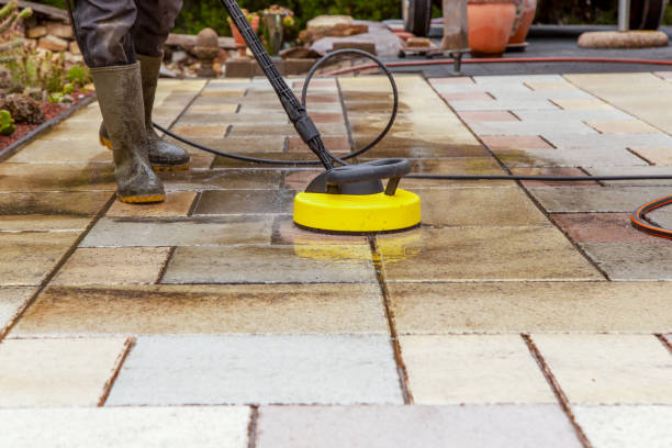 Best Roof Washing  in Holland, MI