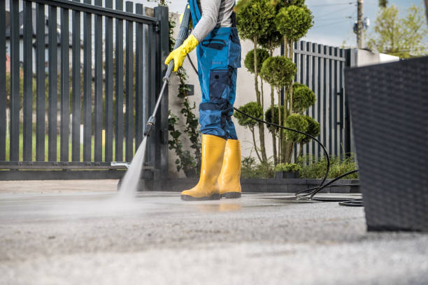 Best Driveway Pressure Washing  in Holland, MI